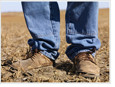 Image of Farmworker boots
