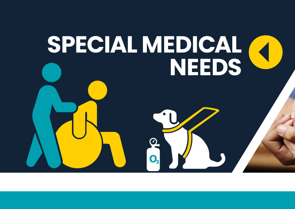 Special Needs Shelters graphics