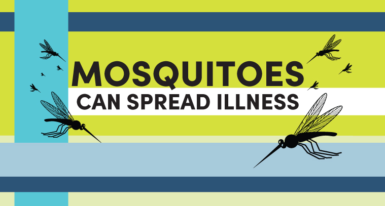 mosquitos can spread illness